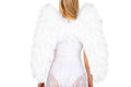 Delux Feathered Wings Wings in White by Build-A-Hoochie