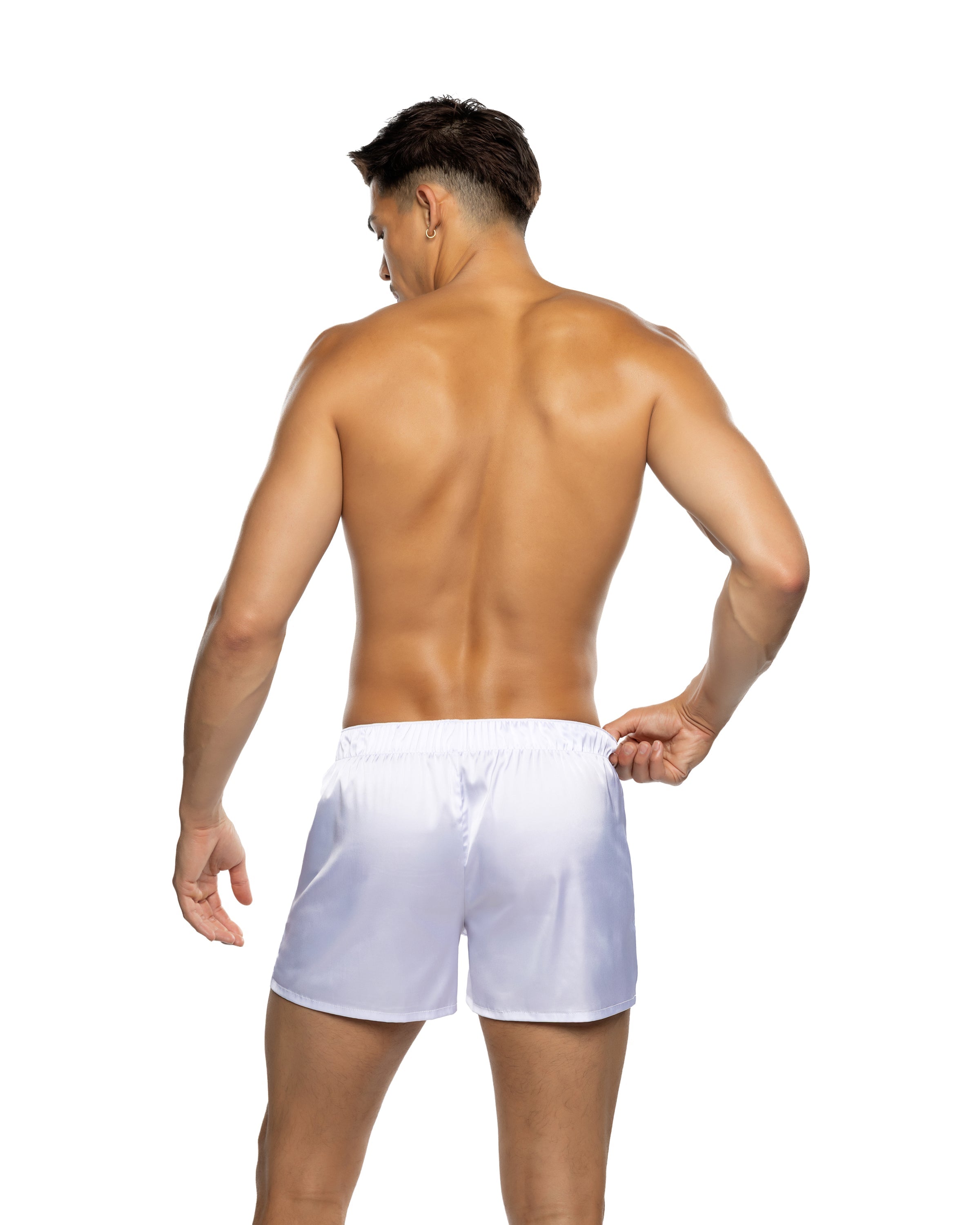 BAHPBLI228 - Majestic Bunny Boxer